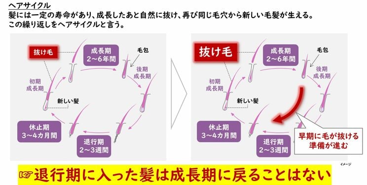 資料／大正製薬提供