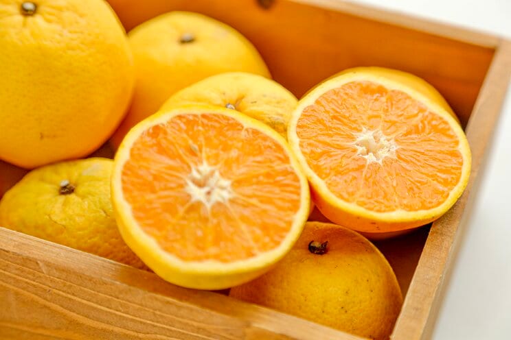 国産オレンジは生産量も少なく、果汁向けとしてはあまり出回らないという（PhotoACより）