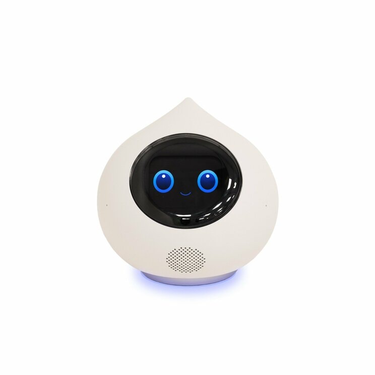会話AIロボット「Romi（ロミィ）」（提供写真）