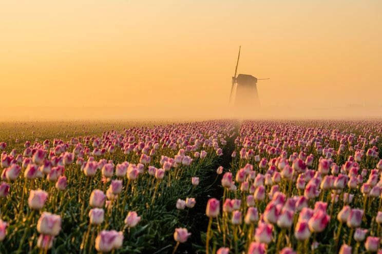 写真はイメージ　（写真／Shuttersock）