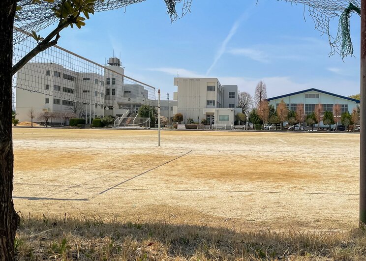 写真はイメージです　（写真／Shutterstock）