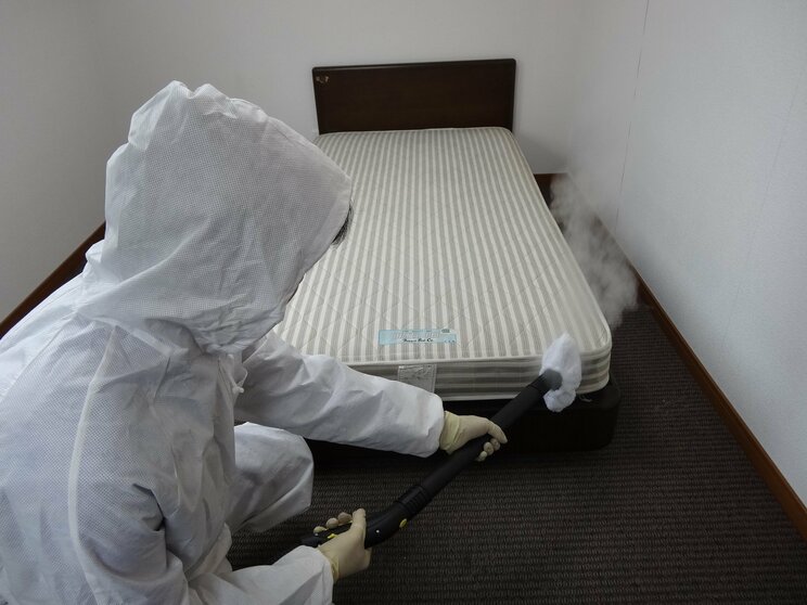 （提供／日本ペストコントロール協会）