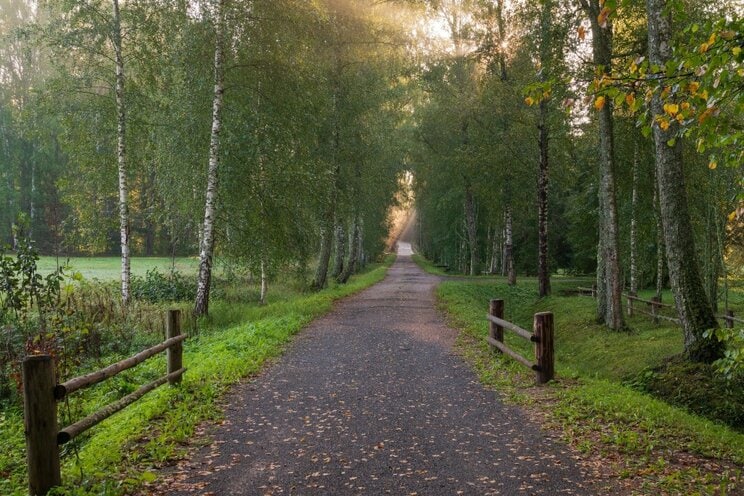 写真はイメージです　写真／Shutterstock