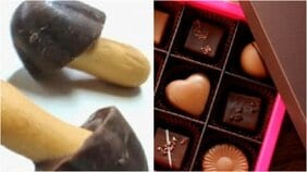 「きのこの山」「たけのこの里」が「チョコ」→「準チョコ」になっていた! 大手企業も苦しむバレンタイン、専門店の生きのこり策は