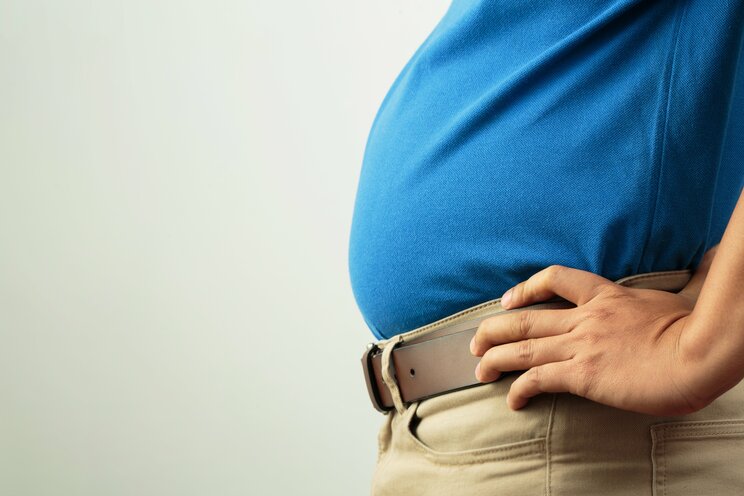 脂肪は「食べている時間が、食べていない時間より長くなると蓄積されるもの」肥満と糖尿が心配な人こそ知るべき「インスリン」の真実_5