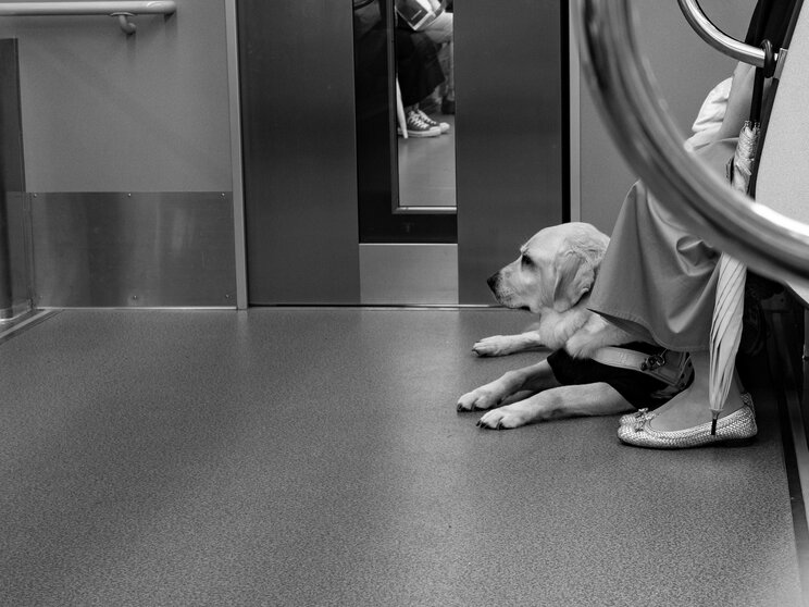 〈J R中央線で落下死亡事故〉ホームドア整備進まぬ背景と転落時に生死を分けるポイントは？　人身事故を数度経験した運転手は「ガタガタと激しい音、ものすごく嫌な感触が…」_6