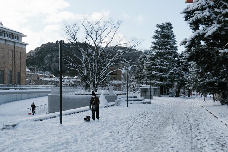 〈大寒波襲来・写真多数〉電車はストップ・渋滞40キロ・タクシー大行列・立ち往生、それでも開いていた牛丼屋に安堵…豪雪の京都ルポ「完全に大雪をなめていました」_42