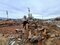 〈能登半島地震から4カ月〉倒壊した家屋の前に並べられた猫の置物の理由、ガレキに供えられた花…家も職も失った酒屋店主は「最近1番うれしかったことは仮設住宅に入れたこと」 _27