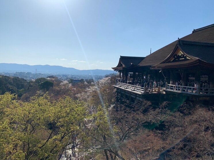 京都の人気観光スポット「清水寺」（撮影／集英社オンライン）