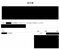 Bさん提供の請求書の一部。記事単価は4000円でここから税金が源泉徴収される(写真/本人提供)