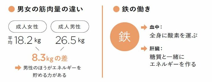 女性が男性より甘いものが好きなのにはワケがある…安易な糖質制限が女性にとって危険である身体の仕組みとは？_2