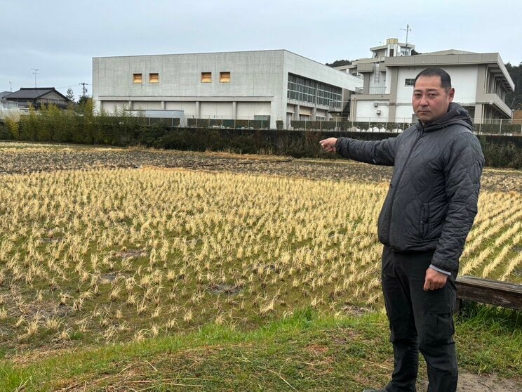 藤松さんの田んぼ