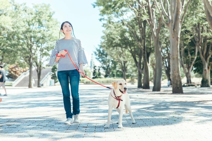 写真／Shutterstock