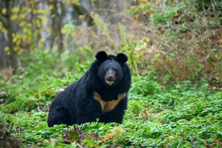 写真はイメージです（写真／Shutterstock）