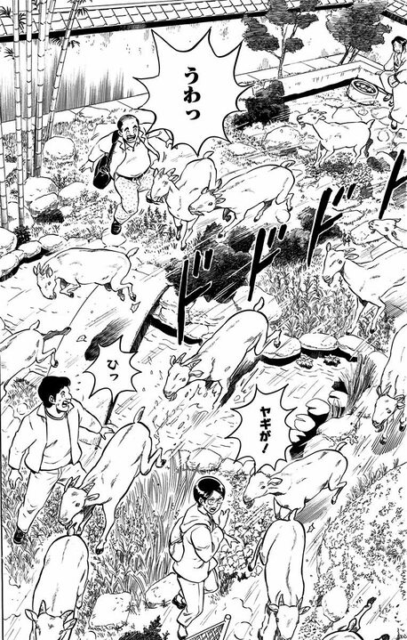 【こち亀】ブラック労働を強いられたヤギたちが反旗を翻したまさかの作戦 「その草を食べるな! 観賞用だから!」_15