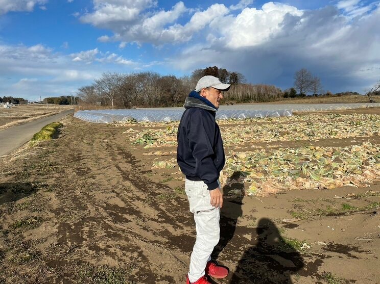 840個ものキャベツを盗まれた自分の畑を見つめる岩崎義徳さん