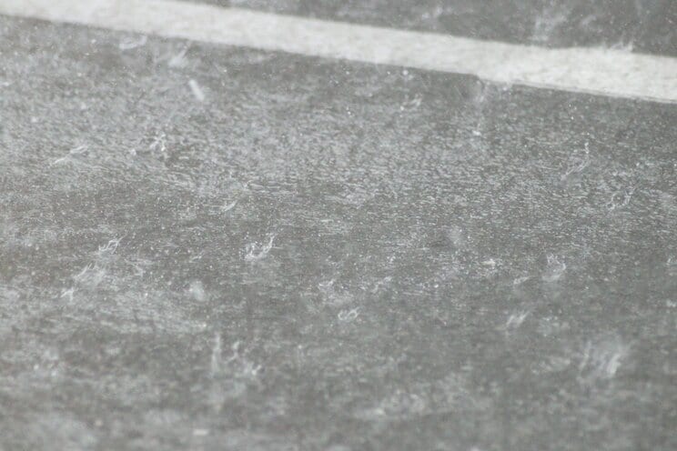 まだまだ予測が難しい線状降水帯。自分の住む地域で発生したときに「真っ先にするべきこと」とは？_4