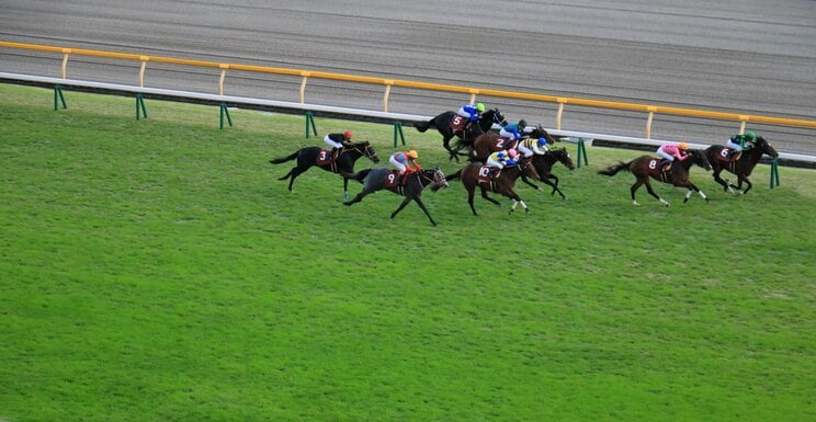 競馬の勝敗を決めるのは「馬の能力」が9割！　騎手・血統・コース適正・パドックも全て無視して馬券は買うべき根拠_1