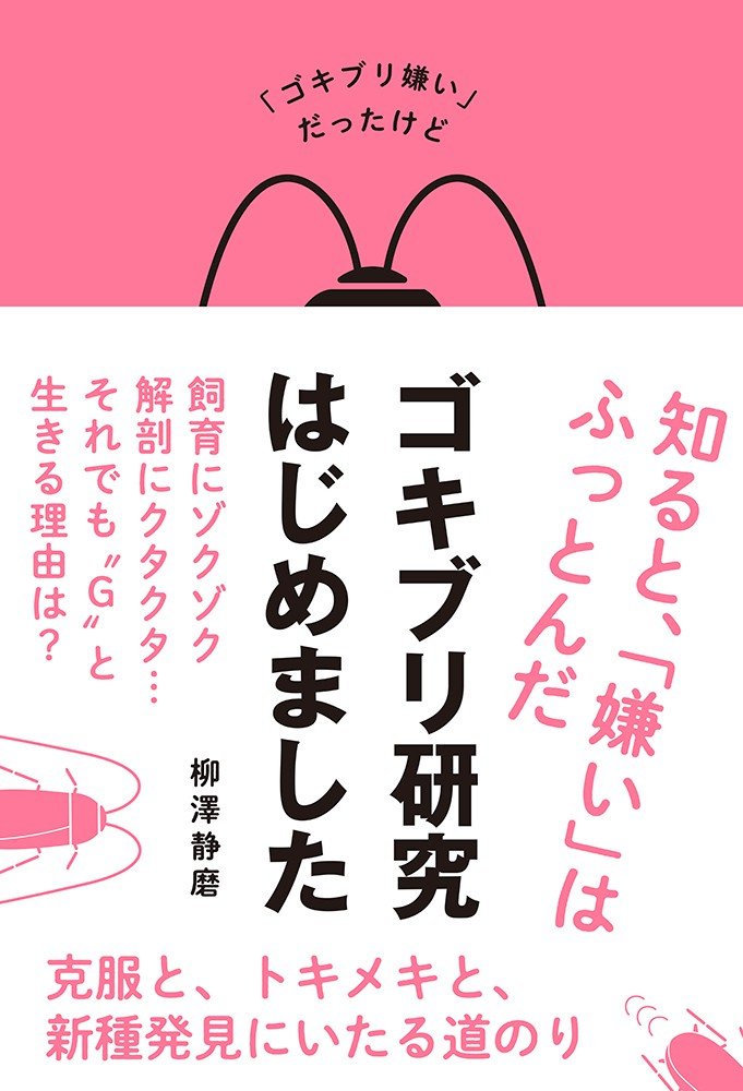 「ゴキブリは１匹いたら100匹いる」が都市伝説な理由_2