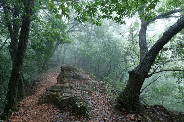 写真はイメージです（写真／PhotoAC）