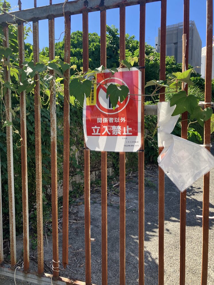 （撮影／集英社オンライン）