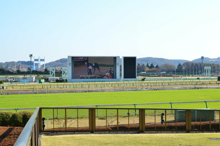 競馬場で迷ったら「中京競馬場は内枠、東京競馬場は内前、阪神ダートは…」６年連続回収率100%超えのプロギャンブラーが伝授する普通は気づかない各競馬場の特徴_3