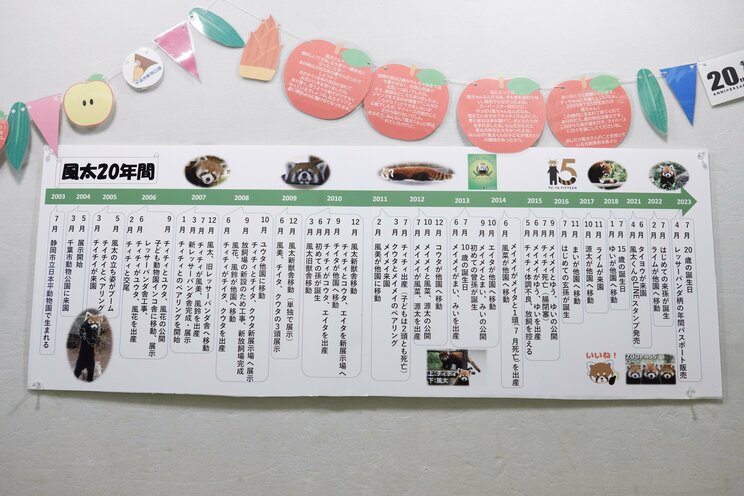 風太くんの20年がわかる年表と元飼育員からのメッセージ