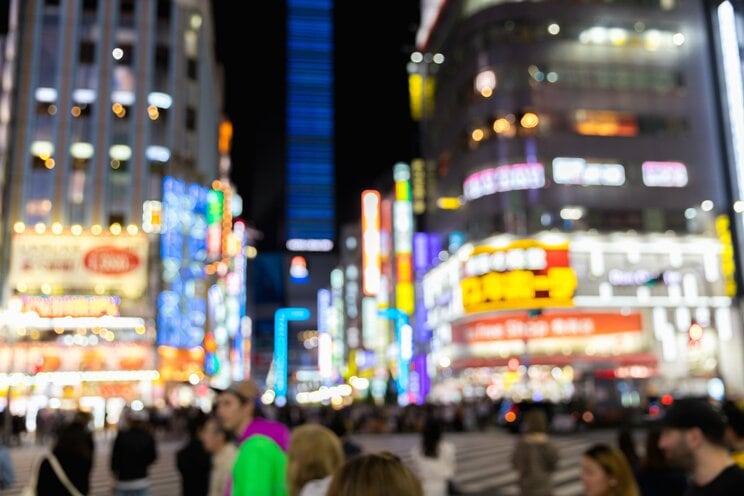 写真／Shutterstock