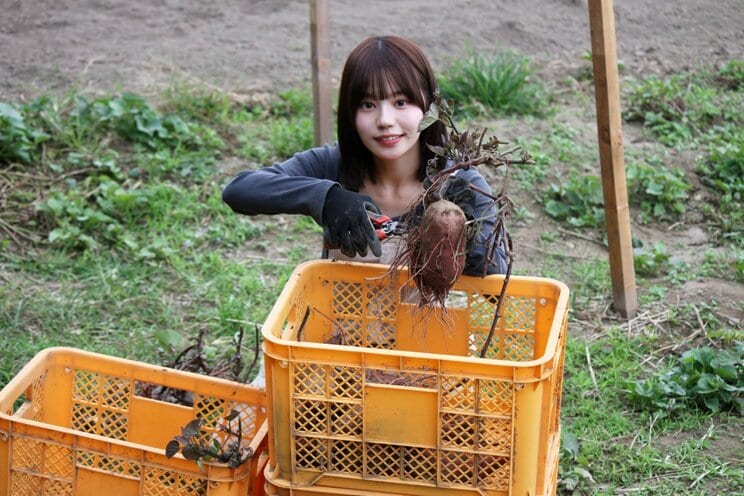 「さつまいも農家タレント」の上西萌々（撮影／千駄木雄大）