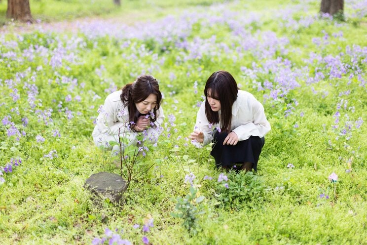 〈将棋の里見＆囲碁の藤沢・トップ女性棋士夢の対談〉天才少女時代を振り返る…「話題にしてほしくなかった」1日10時間囲碁の勉強で修学旅行も不参加_6