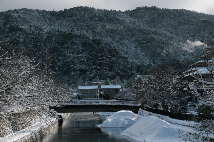 〈大寒波襲来・写真多数〉電車はストップ・渋滞40キロ・タクシー大行列・立ち往生、それでも開いていた牛丼屋に安堵…豪雪の京都ルポ「完全に大雪をなめていました」_33