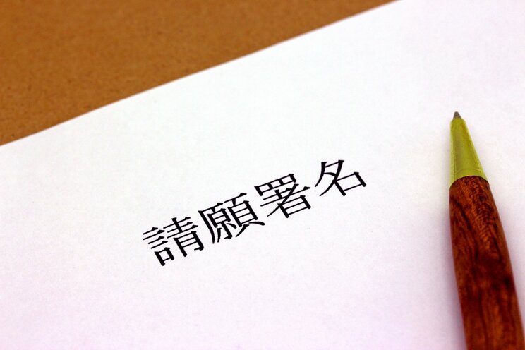 「両親や祖父母が議員だった世襲議員は豊かな環境で育ったため、私たちの生活に思いを馳せることはできません」共同親権、インボイス制度…国民の反対を押し切り続ける岸田内閣がもたらす「恐ろしい未来」_5