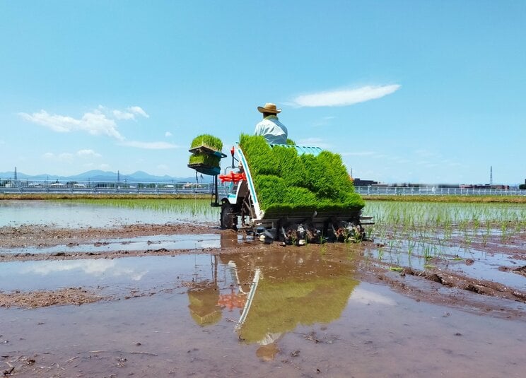 写真はイメージです（PhotoACより）