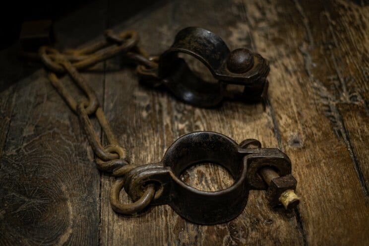 写真はイメージです 写真/Shutterstock