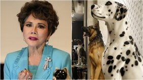 〈ワンニャン平和党設立〉85歳デヴィ夫人「日本国籍取って立候補します」選挙参謀は石丸旋風を巻き起こした“選挙の神様”