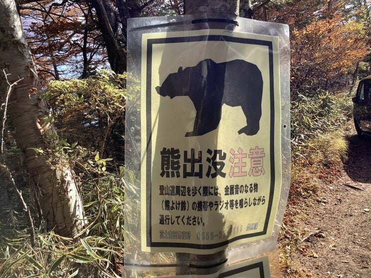 画像はイメージです