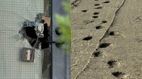 〈相次ぐトクリュウ緊縛強盗〉「痛い痛い」とグルグル巻きの女性、元自衛官も被害に…事件前、近隣の家に不審者が現れ「リフォームは大丈夫ですか?」「一度庭をみせてください」
