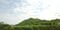 ボタ山(PhotoAC)