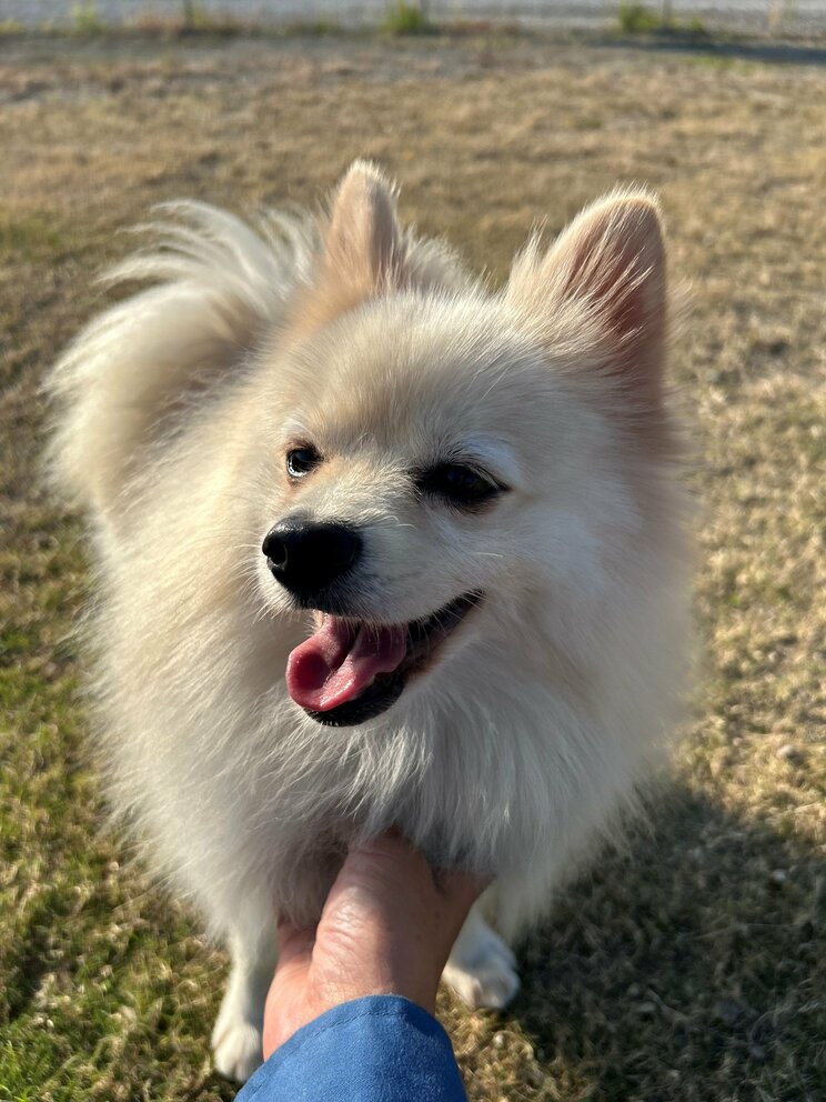 （写真／竹越さん提供）