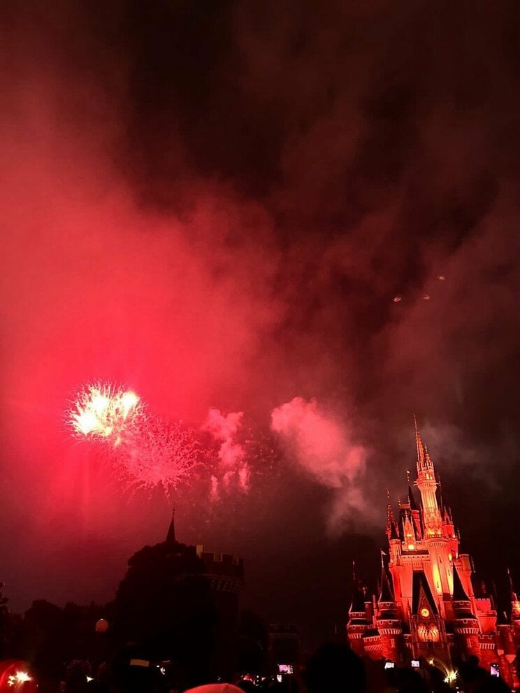 東京ディズニーリゾートの花火プログラムは約5分間続く（写真／読者提供）