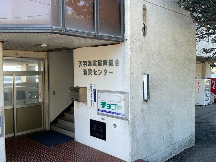 「こちら黄金アジです！」店員が手にしたのは地元では“黒アジ”という別モノ…行列ができる人気アジ料理店に地元漁業関係者が激怒「黄金アジはそんなに獲れない」〈独自・アジ論争〉_7