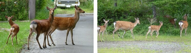 「中高年男性の孤独は悪」となぜ決め込む？ 50代おっさんにも大事な“ひとり時間”。ライブも旅行も映画もひとりが一番でなにがいけない？_2