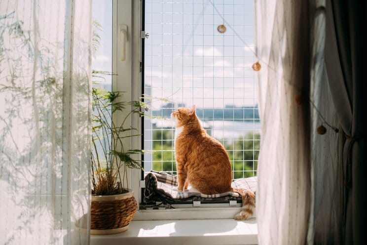 写真／Shutterstock ※写真はイメージ