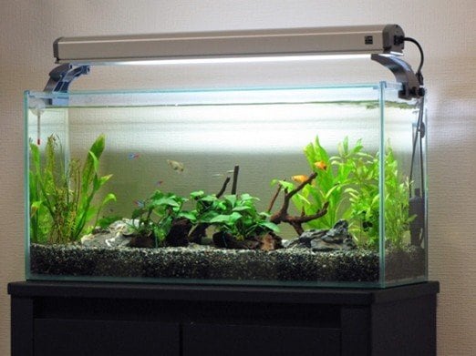 写真はイメージです（写真／PhotoAC）