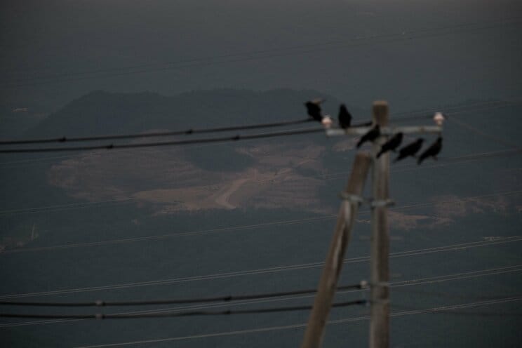 〈はげ山写真あり〉太陽光発電にNO！ 福島市が「ノーモア メガソーラー宣言」を公表した理由。住民は「自然破壊でクマなどの野生動物が出没」「土砂災害が起きれば孤立集落に」_5