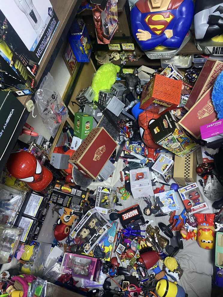 地震対策をしてもコレクションに被害（写真提供／Ryuさん）