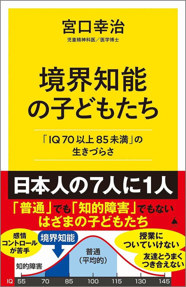 「やっぱ無理！」が口癖の男児に下された”軽度知的障害”の診断…発達障害の影に隠れる子どもの知的障害をみわける３つのポイント_7