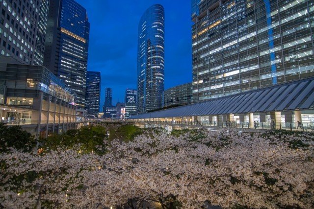 〈会社の花見宴会やりたいですか？〉「結局若手が疲れる」「コンプラ重視で気を遣うのはむしろ年長者」渋谷・新橋100人に聞いた衝撃の結果_10