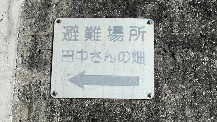 （写真／高知かわうそ市場）