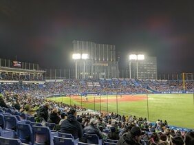 〈プロ野球観戦マナー〉外野席で「見えないから座って」は非常識か…阪神ホームゲームは事実上立ち応援禁止も、強まる「立って応援したい」の声